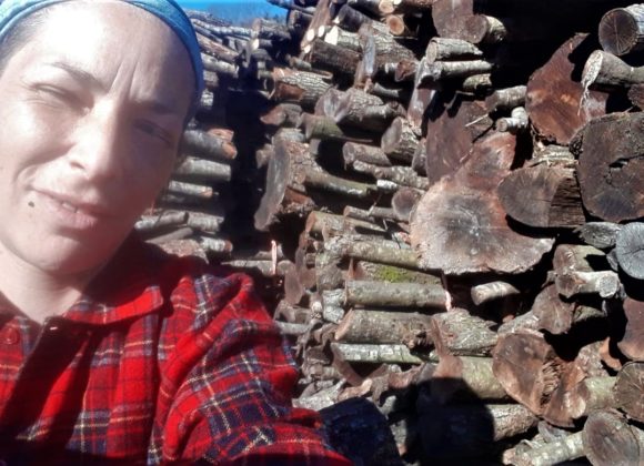 ragazza con legna sullo sfondo