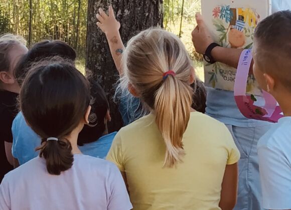 bambini con albero