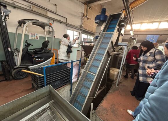 Alla scoperta del territorio: la visita al Frantoio con gli studenti dei corsi di italiano