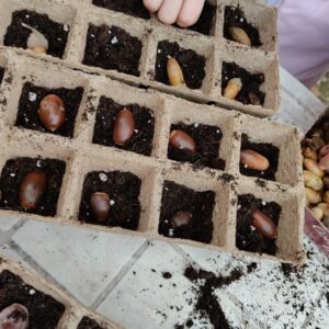 593428553_920468493874457_4250044536332578150_n Futuropresente nei boschi della montagna pistoiese