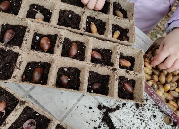 Futuropresente nei boschi della montagna pistoiese