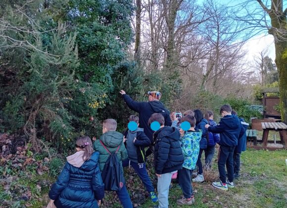Il laboratorio ambientale di Futuropresente alla primaria De André